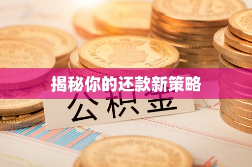 增城揭秘你的还款新策略