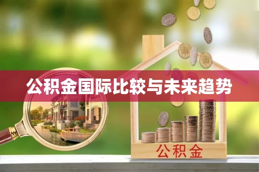 增城公积金国际比较与未来趋势
