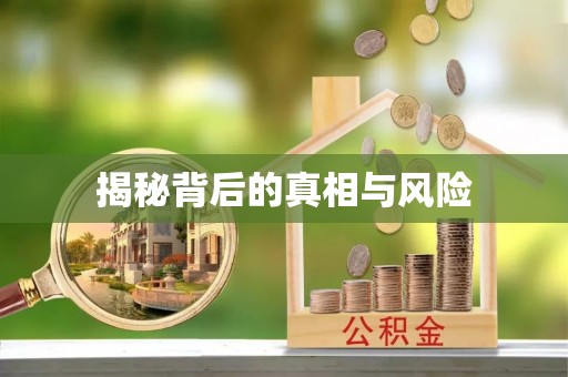 增城揭秘背后的真相与风险