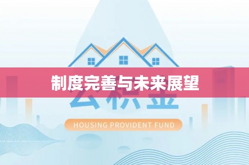 增城制度完善与未来展望