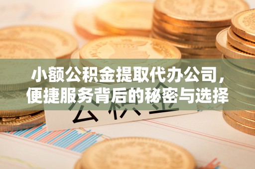 增城小额公积金提取代办公司，便捷服务背后的秘密与选择指南