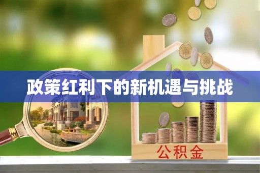 增城政策红利下的新机遇与挑战