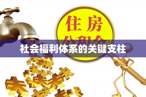 增城社会福利体系的关键支柱