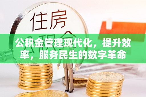 增城公积金管理现代化，提升效率，服务民生的数字革命