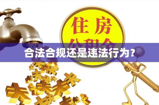 增城合法合规还是违法行为？