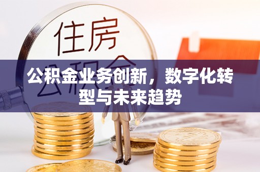 增城公积金业务创新，数字化转型与未来趋势