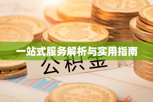 增城一站式服务解析与实用指南