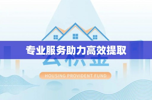 增城专业服务助力高效提取