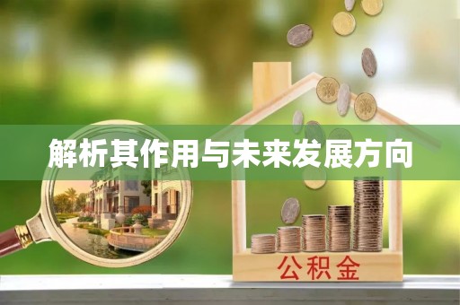 增城解析其作用与未来发展方向