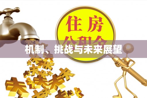 增城机制、挑战与未来展望