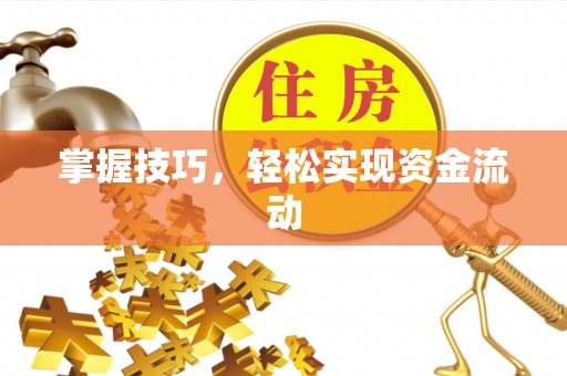 增城掌握技巧，轻松实现资金流动